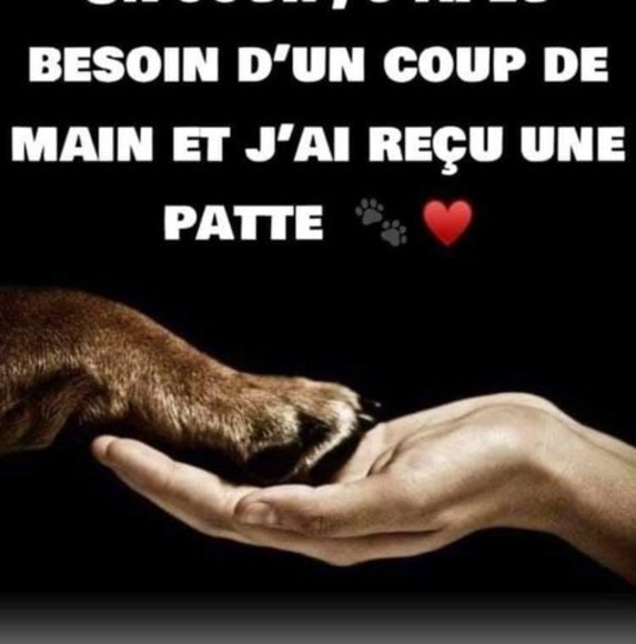 Meet your Posher, Guylaine - Picture 1 of 1